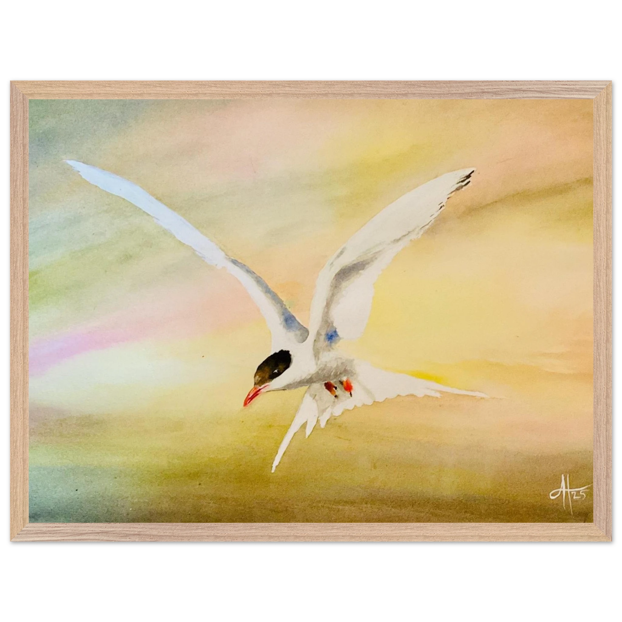 026327dd-3a68-42f1-aed7-724ff353942c