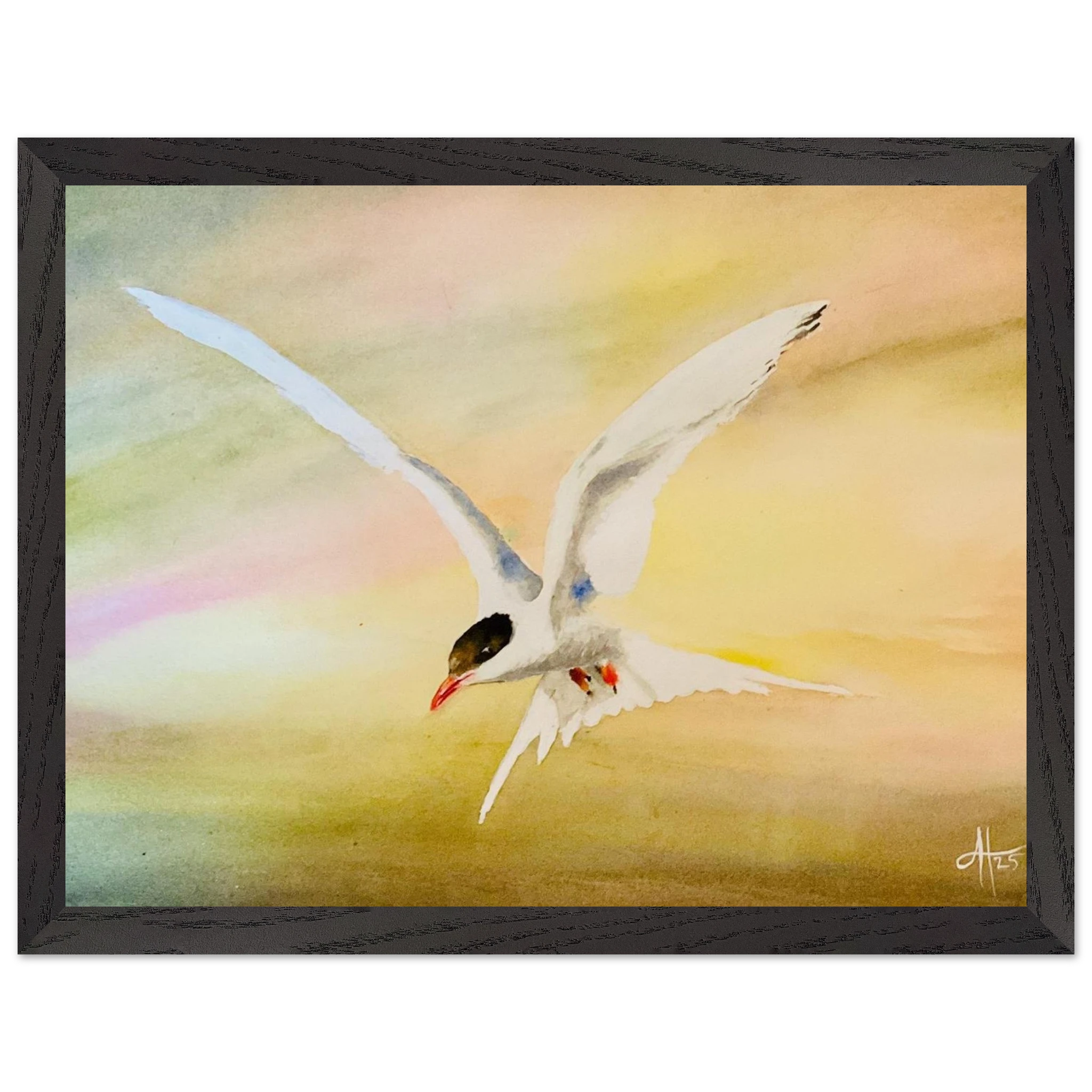 0fbb02c3-34fe-48c1-a47a-47fc613dbb01