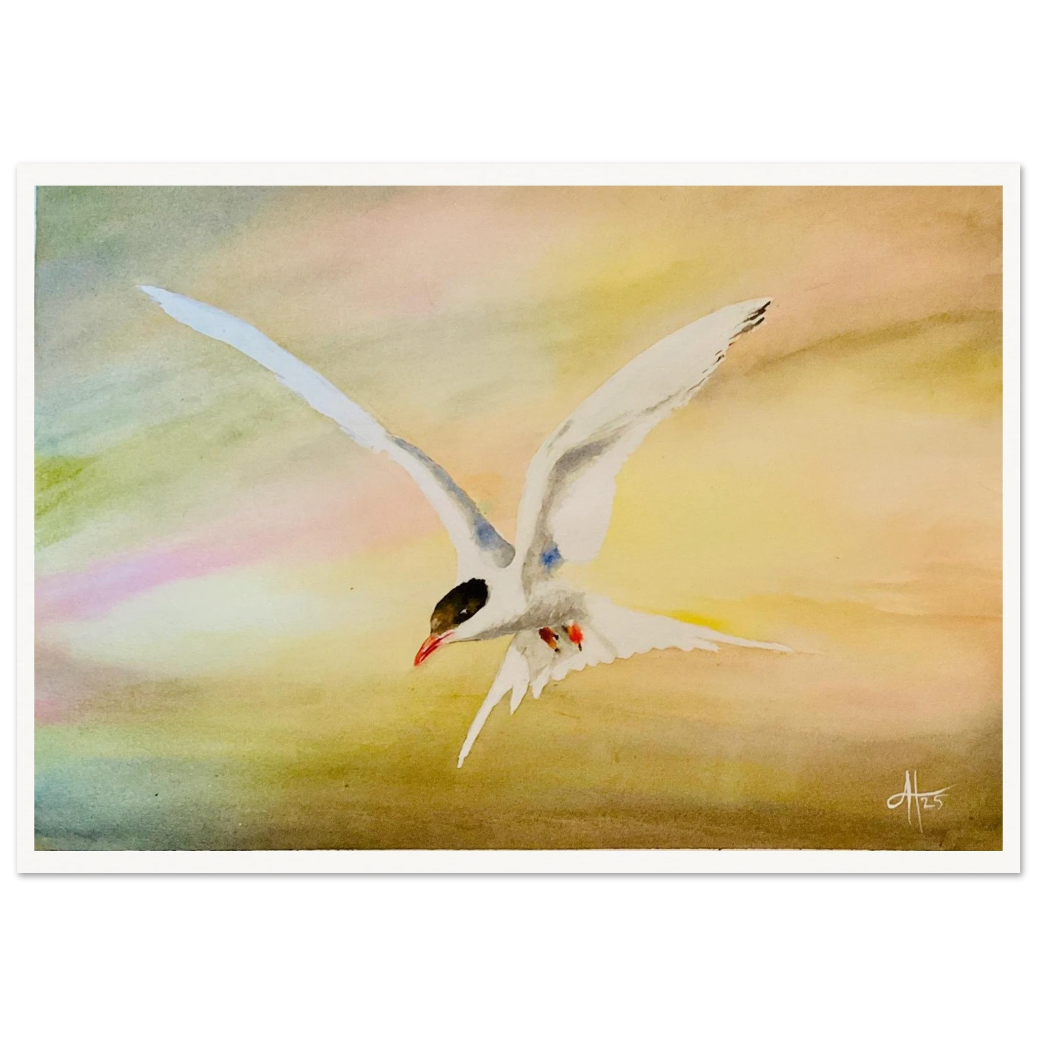 71de465b-8db8-4fe3-b8e8-da6809f6b4df