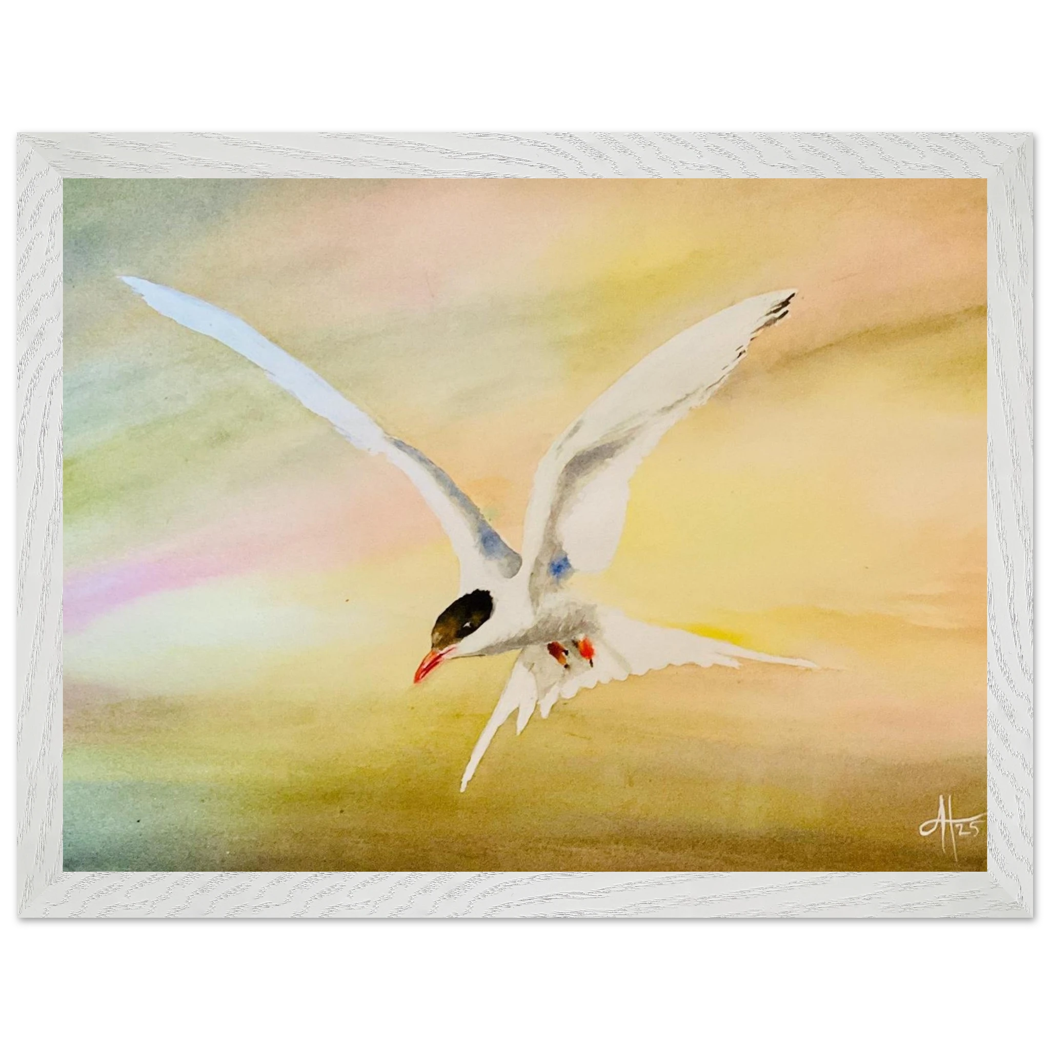 7d87a59d-884f-4543-8fdc-9c40b8977257