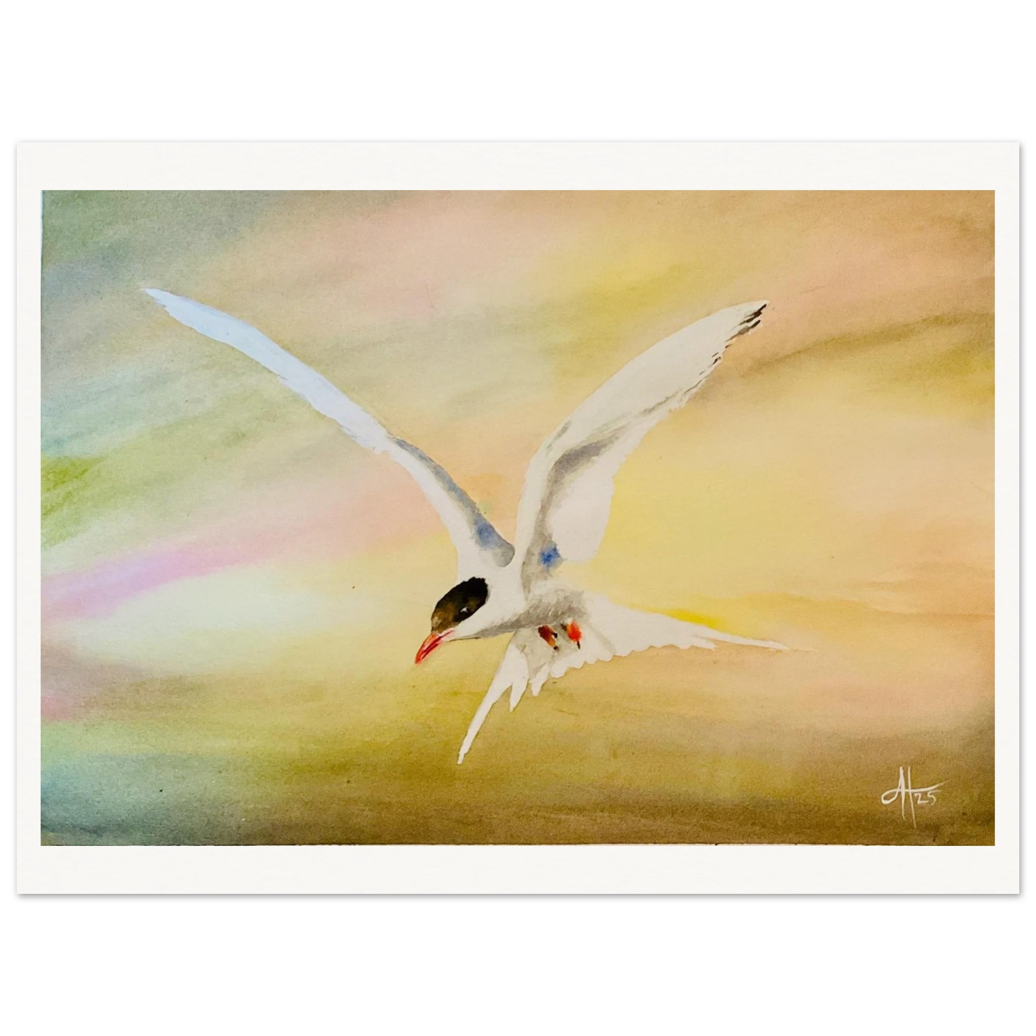 96e0a88e-2ffe-468e-ab60-89b313ca0d24