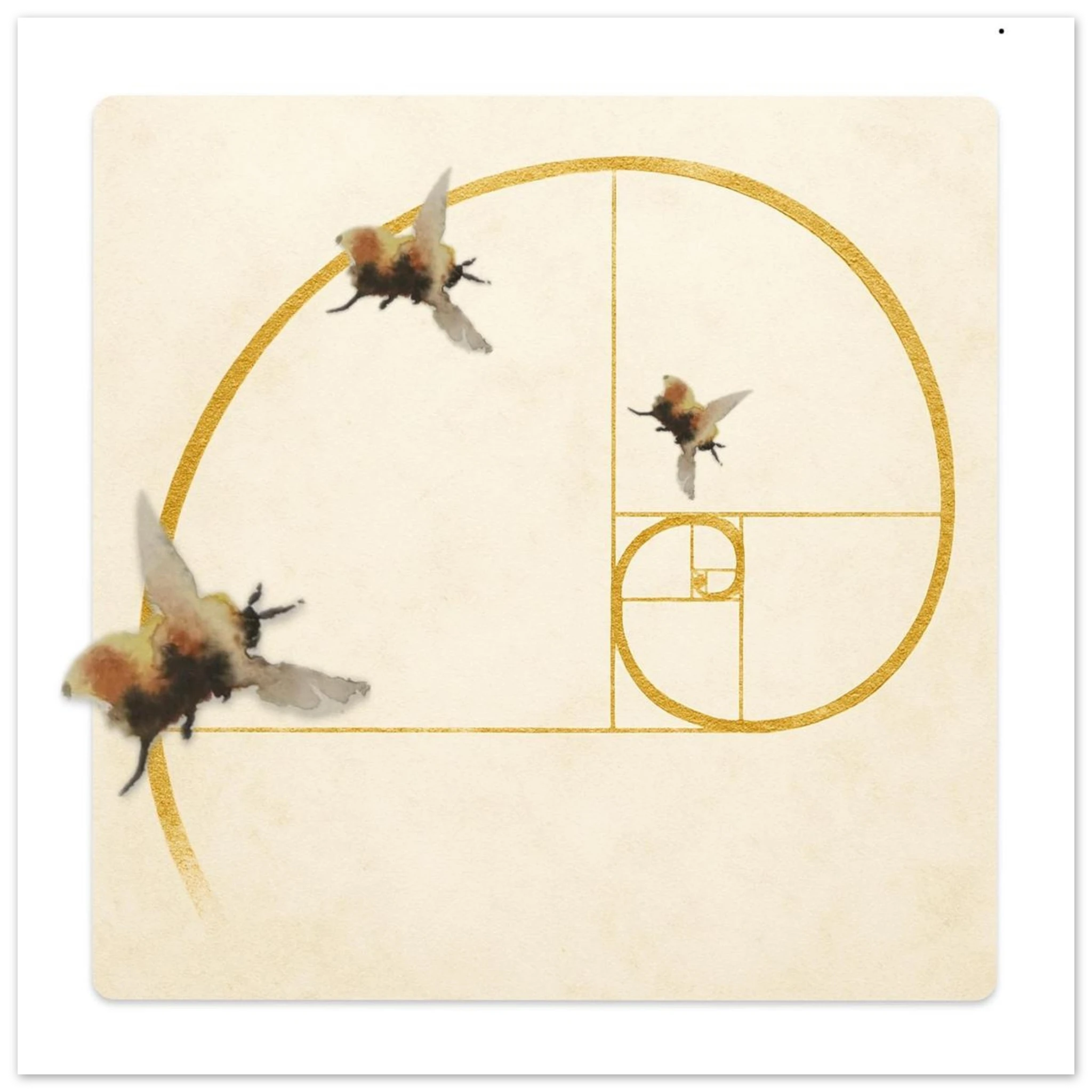 ba708341-34a1-45be-9a27-d405c68b0205