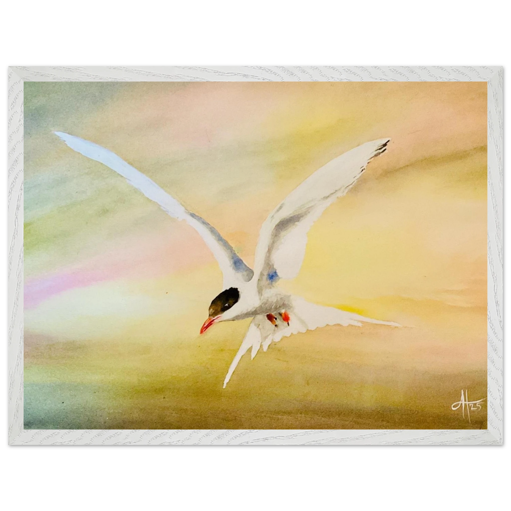 ce9f5cb1-7449-4d04-8dd7-985d0b54891e