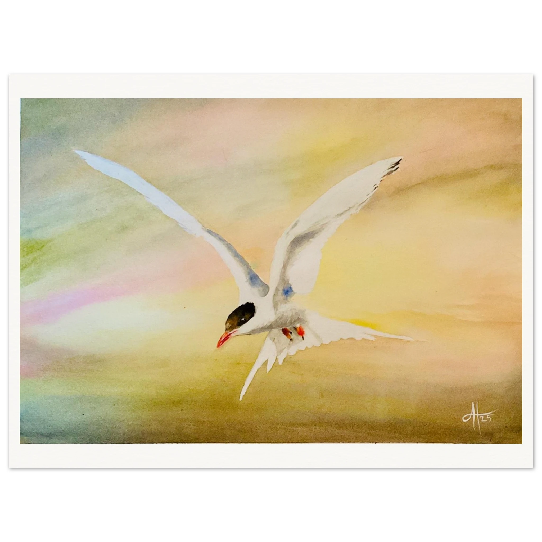 debd9adb-d1af-4b67-85a6-e6f13214bab2