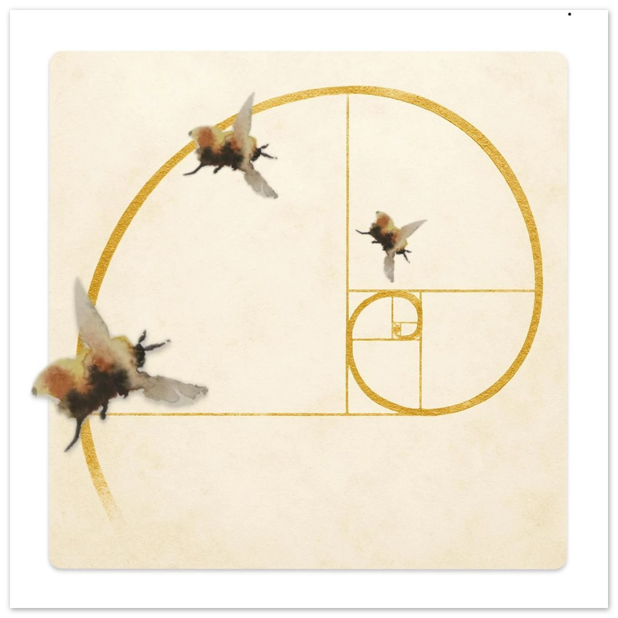 f7853a81-79db-48c7-a16f-7d6e316fad86